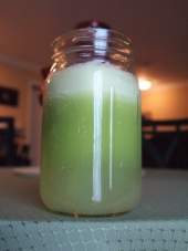 celery apple and romaine green juice